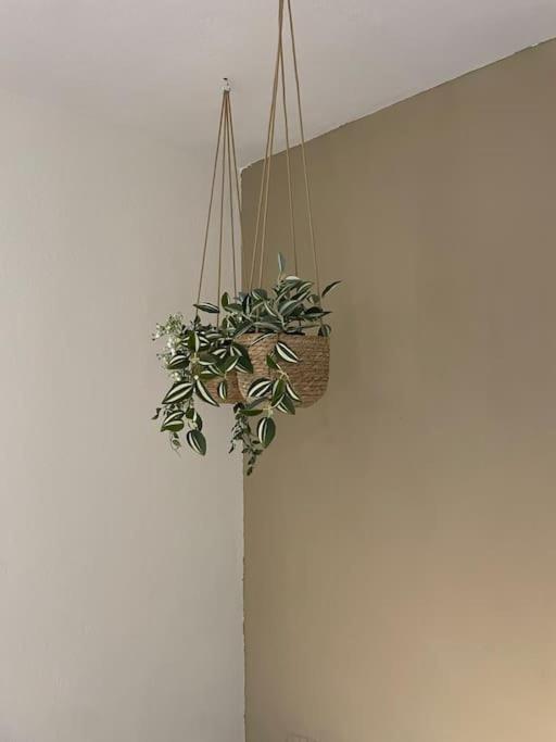 Almond Home Livadia  Kültér fotó